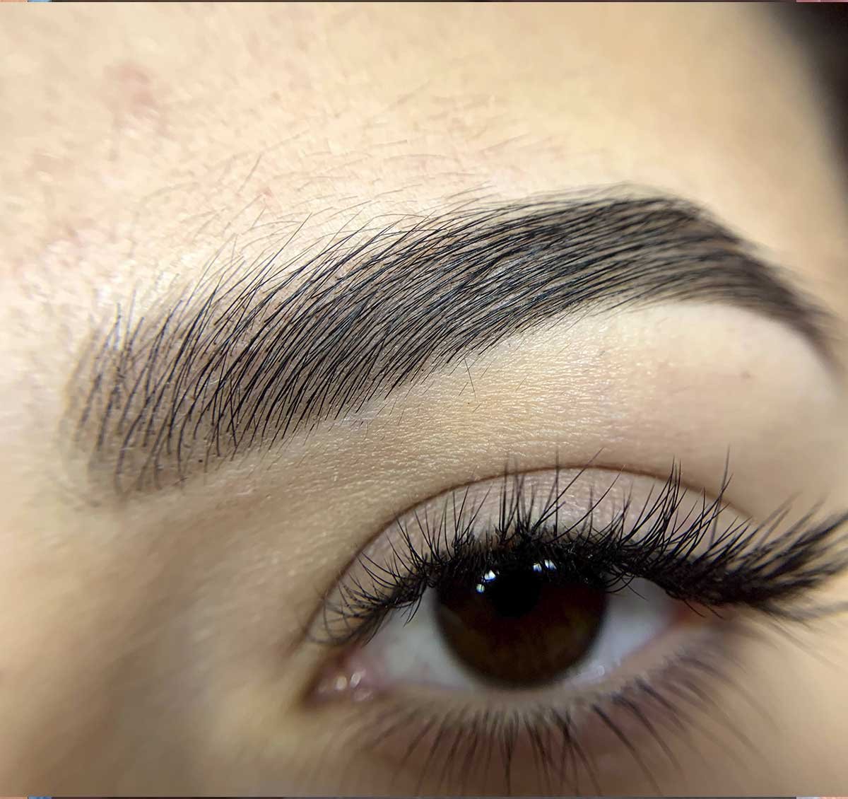 Brow Lamination & Tinting in Naples, FL