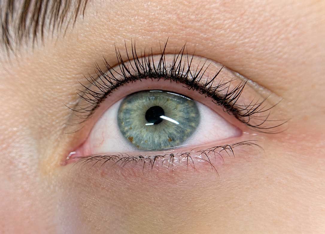 lash-line-gallery-1